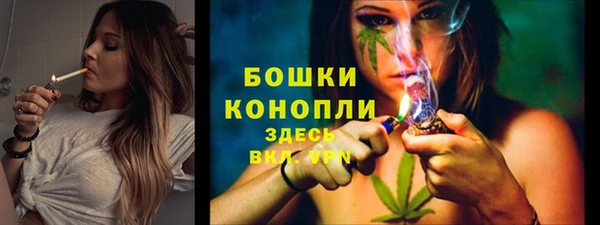 крисы Богданович