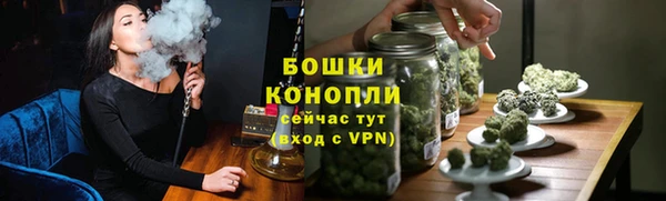 spice Богородск