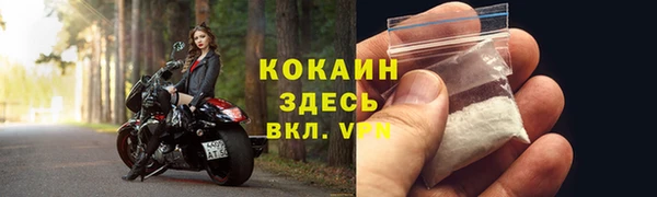 крисы Богданович