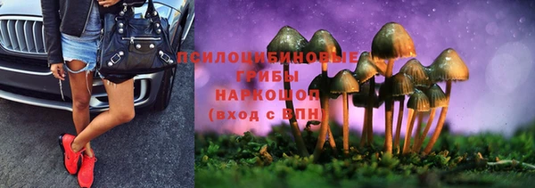 гашик Богородицк